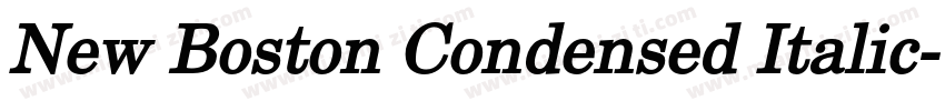 New Boston Condensed Italic字体转换